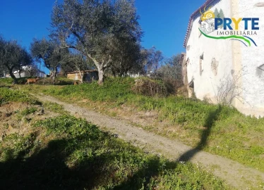 Terreno para Venda em Sertã