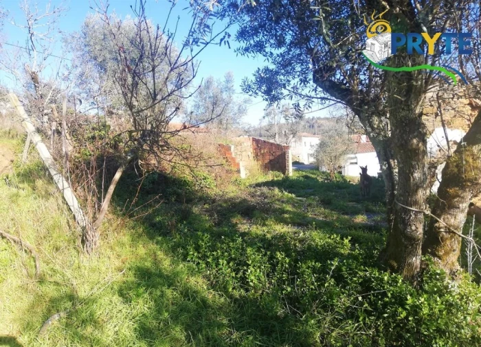 Terreno para Venda em Sertã Foto 4