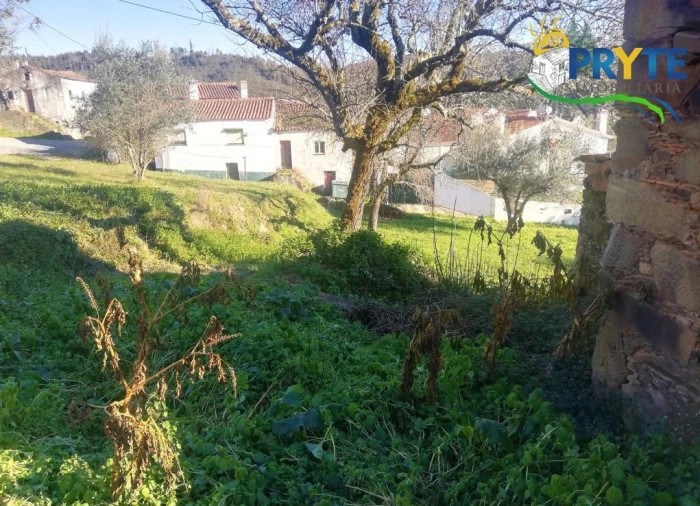 Terreno para Venda em Sertã Foto 11