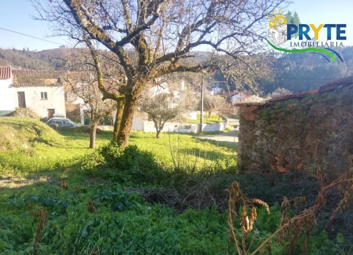 Terreno para Venda em Sertã Foto 12