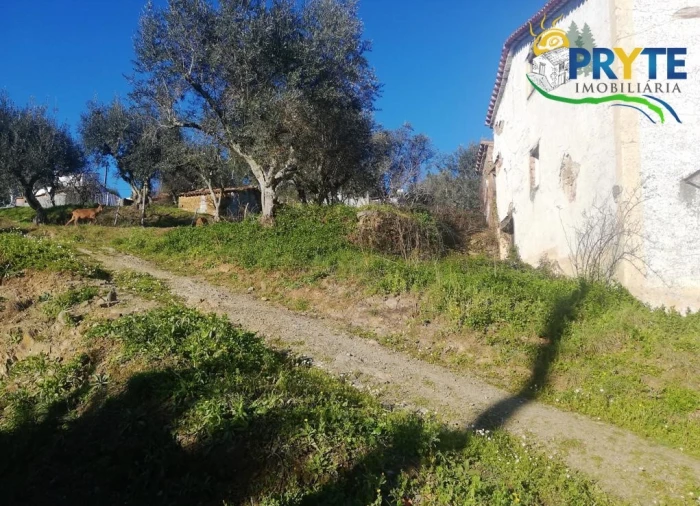 Terreno para Venda em Sertã Foto 22
