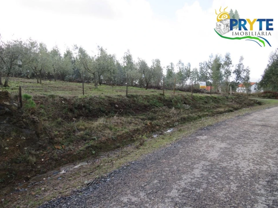 Terreno para Venda em Sertã Foto 1