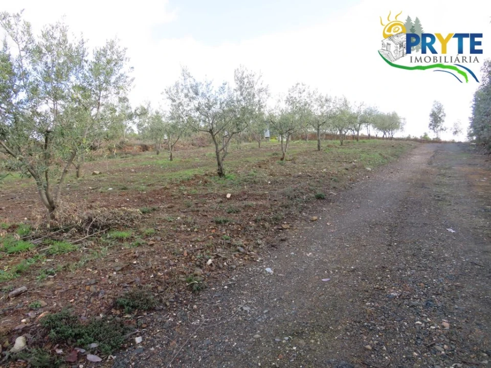 Terreno para Venda em Sertã Foto 10