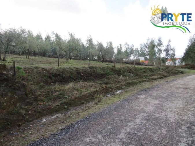 Terreno para Venda em Sertã