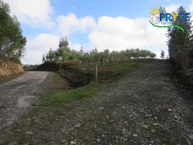 Terreno para Venda em Sertã Foto 2