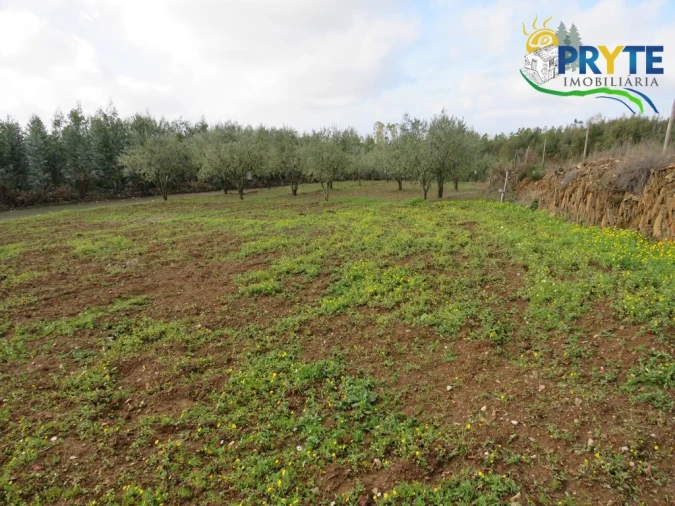Terreno para Venda em Sertã Foto 6
