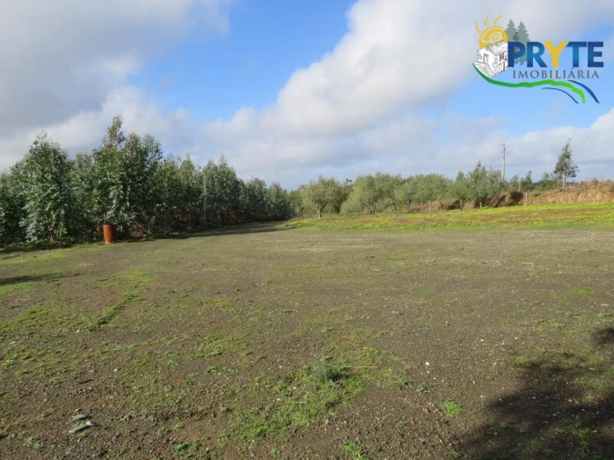 Terreno para Venda em Sertã Foto 8