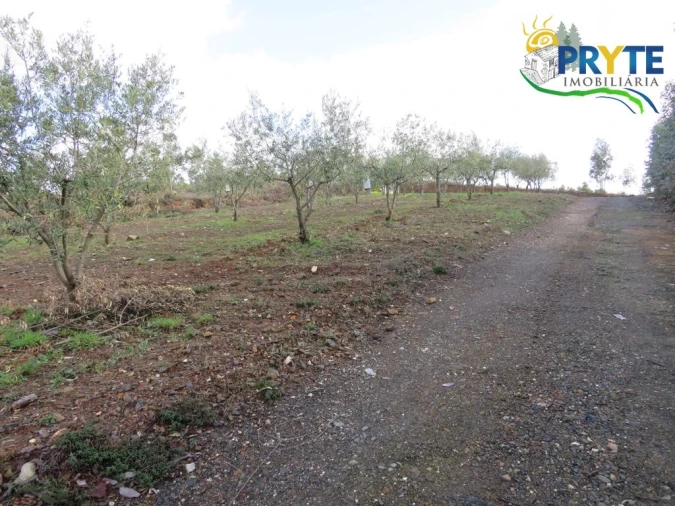 Terreno para Venda em Sertã Foto 10