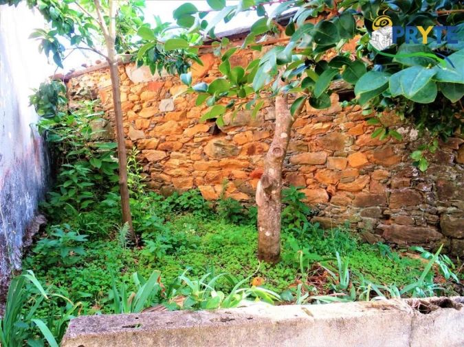 Quinta T2 para Venda em Mosteiro Foto 18