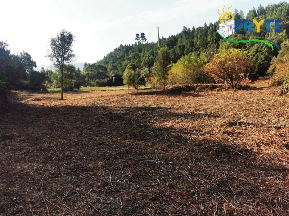 Quinta para Venda em Sertã Foto 2