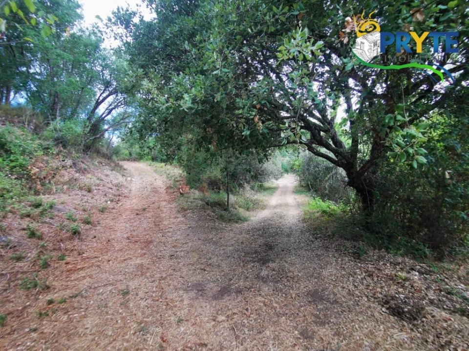 Quinta para Venda em Sertã Foto 3