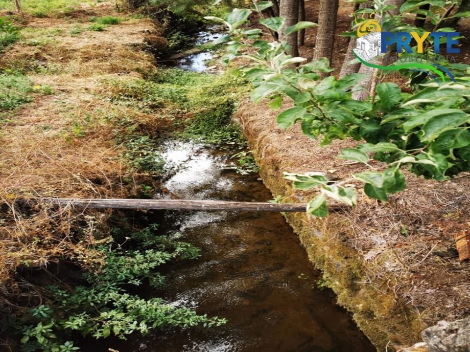 Quinta para Venda em Sertã Foto 5