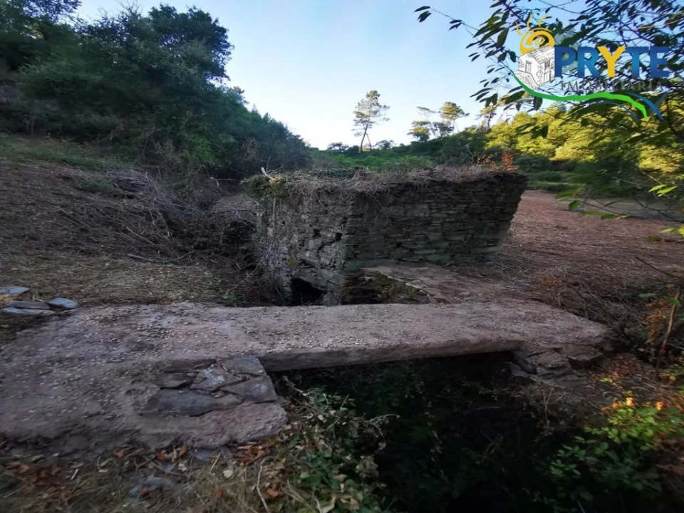 Quinta para Venda em Sertã Foto 7