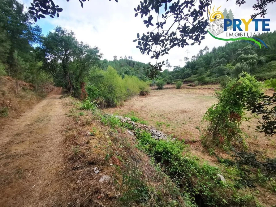 Quinta para Venda em Sertã Foto 8