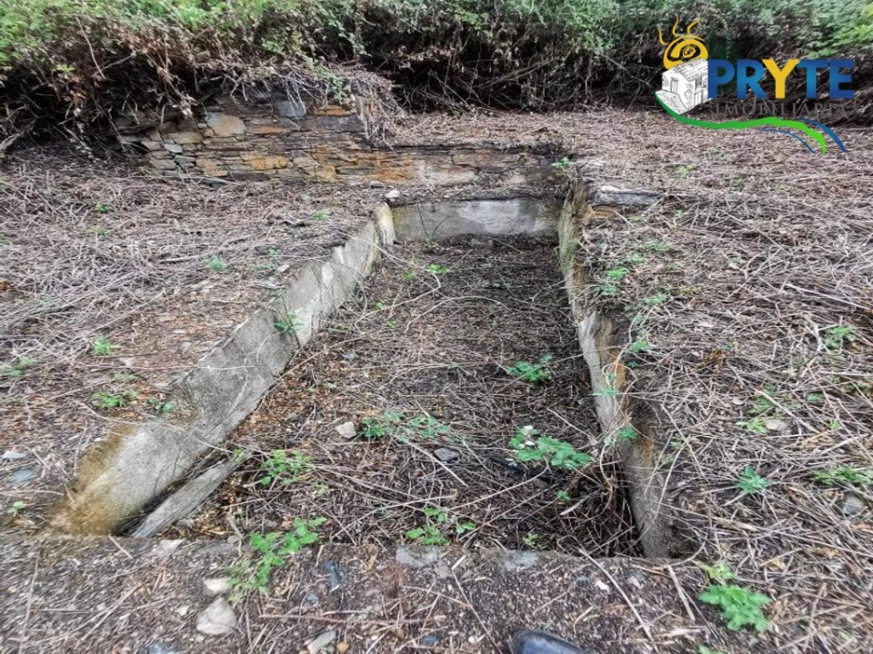 Quinta para Venda em Sertã Foto 10