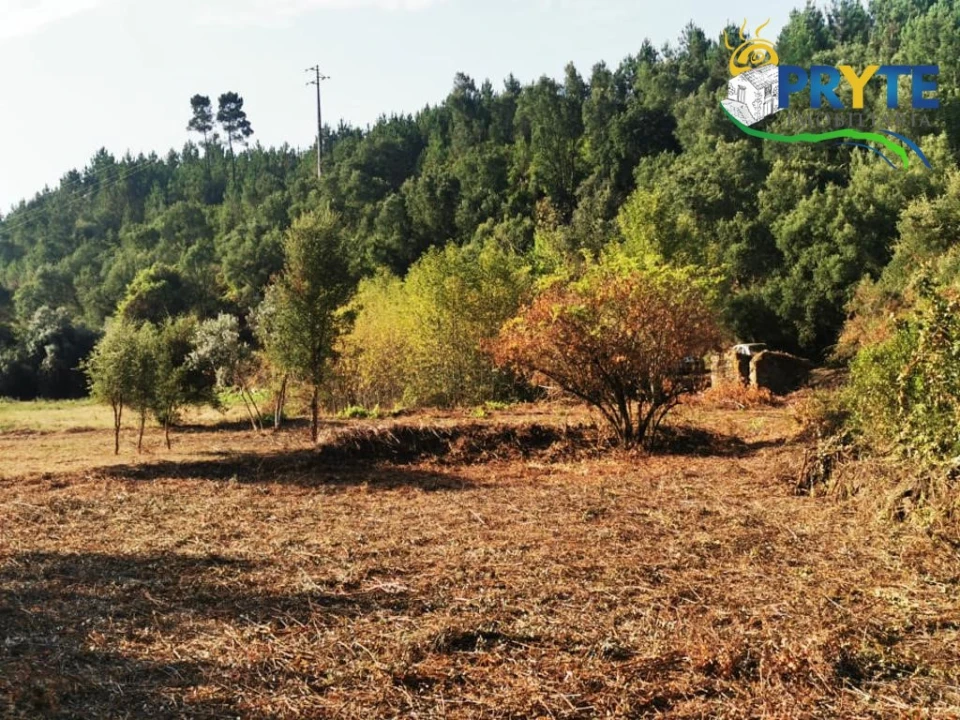 Quinta para Venda em Sertã Foto 12