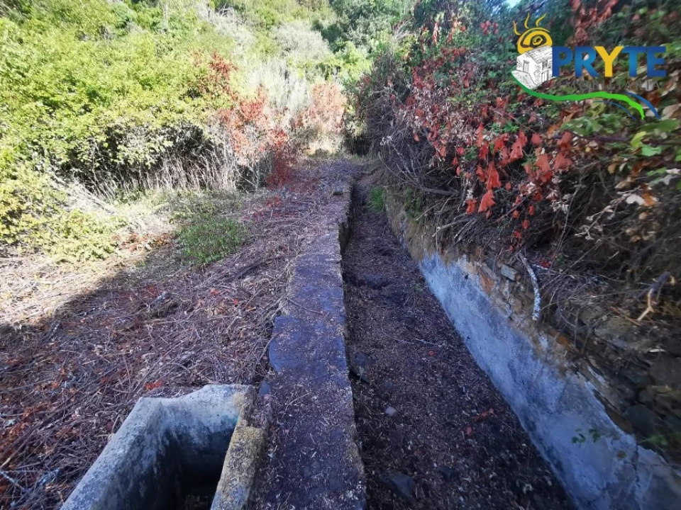 Quinta para Venda em Sertã Foto 13