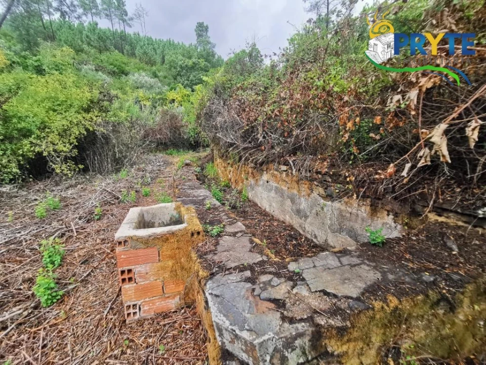 Quinta para Venda em Sertã Foto 15