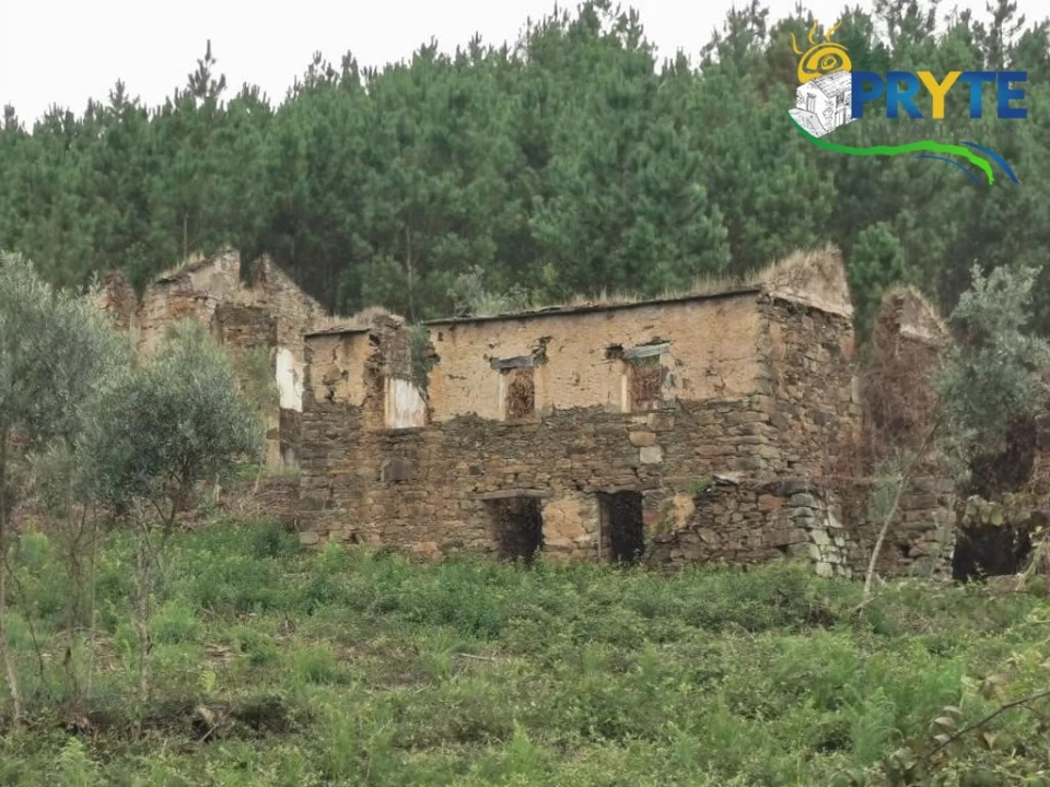 Quinta para Venda em Sertã Foto 16