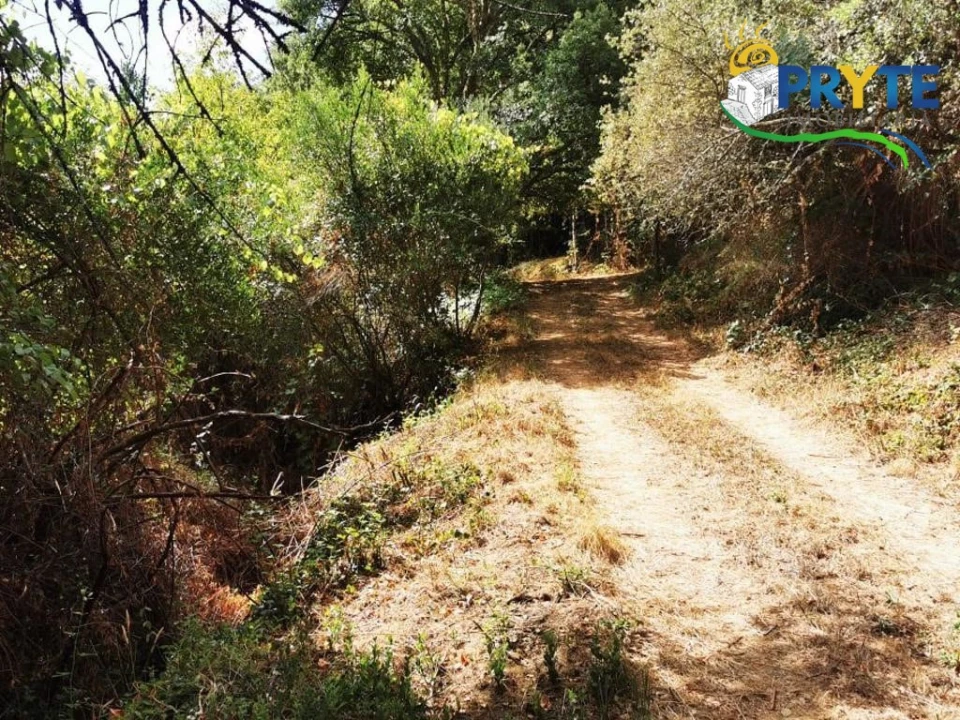 Quinta para Venda em Sertã Foto 17