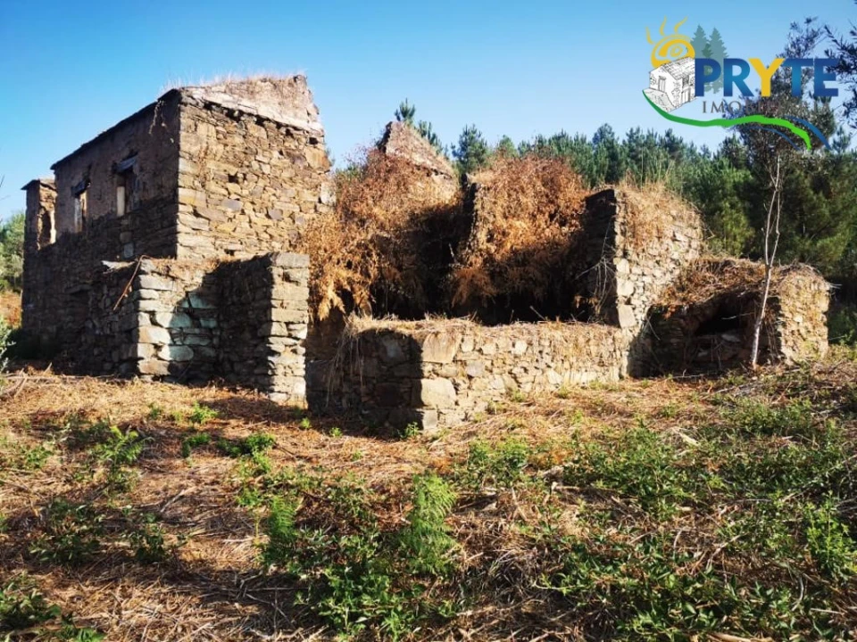 Quinta para Venda em Sertã Foto 18