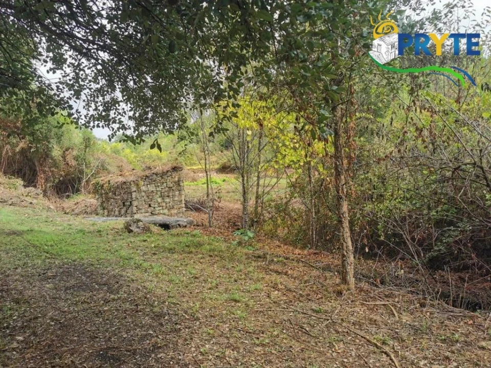 Quinta para Venda em Sertã Foto 20