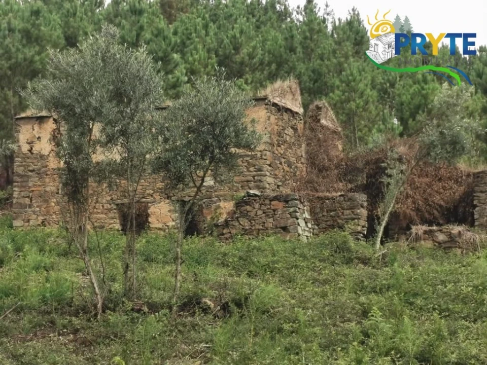 Quinta para Venda em Sertã Foto 22