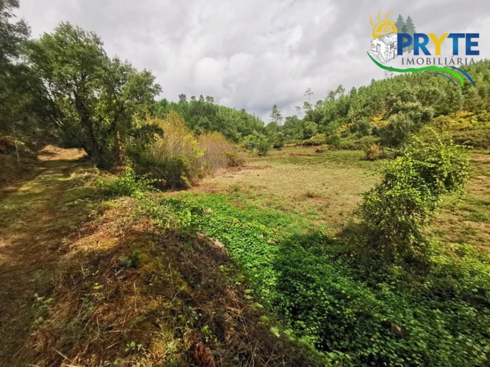 Quinta para Venda em Sertã Foto 26