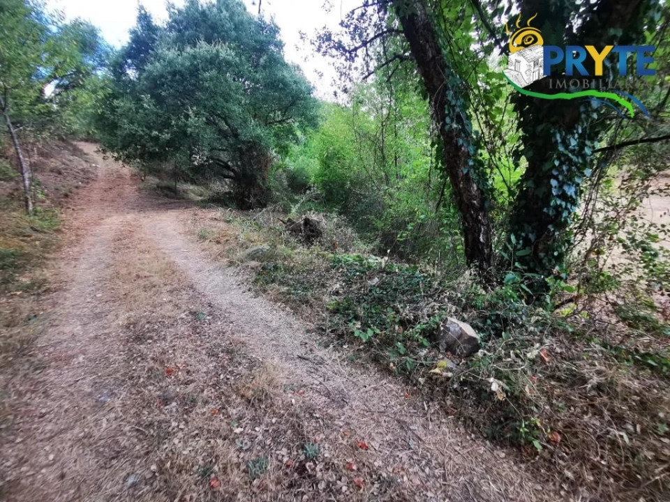 Quinta para Venda em Sertã Foto 27