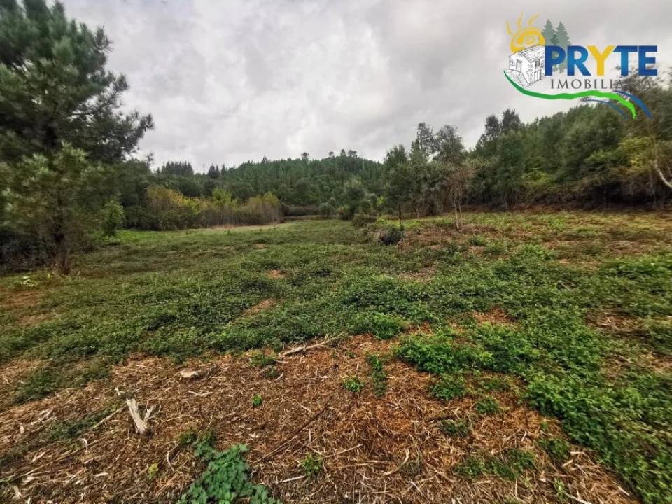 Quinta para Venda em Sertã Foto 28