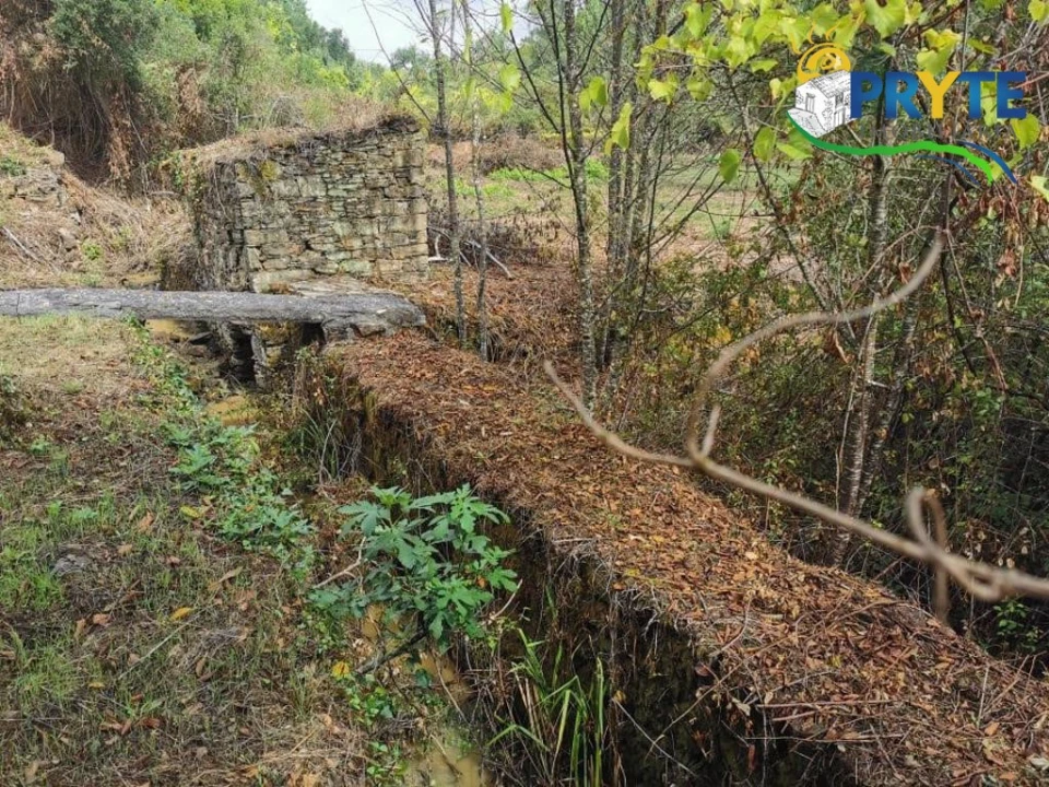 Quinta para Venda em Sertã Foto 31