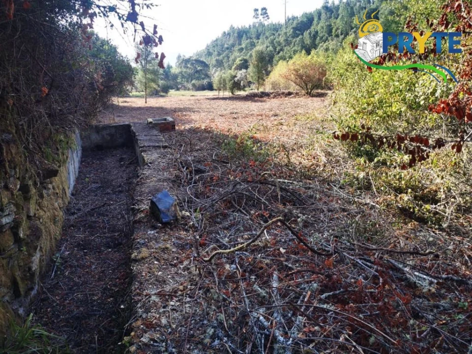 Quinta para Venda em Sertã Foto 35