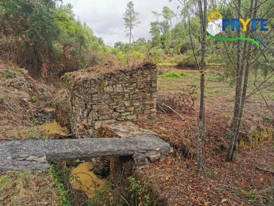 Quinta para Venda em Sertã Foto 36