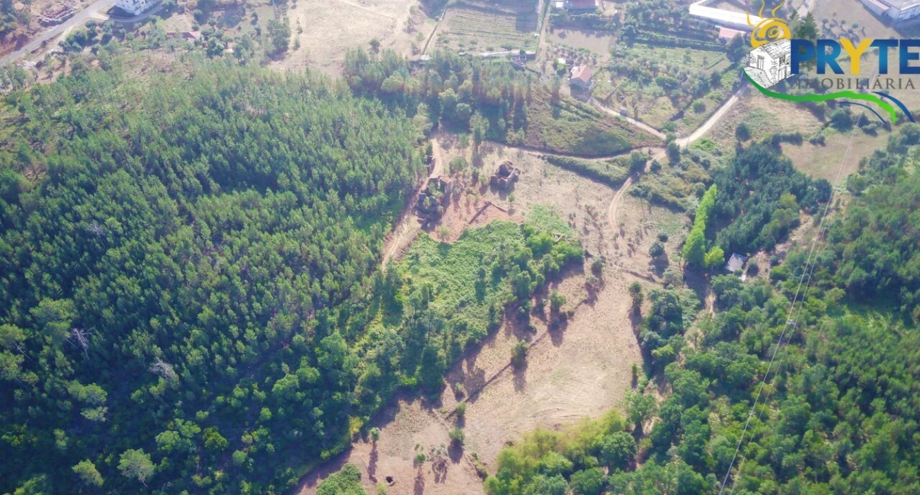 Quinta para Venda em Sertã Foto 37