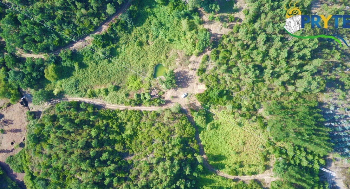 Quinta para Venda em Sertã Foto 38