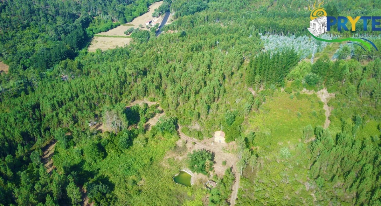 Quinta para Venda em Sertã Foto 42