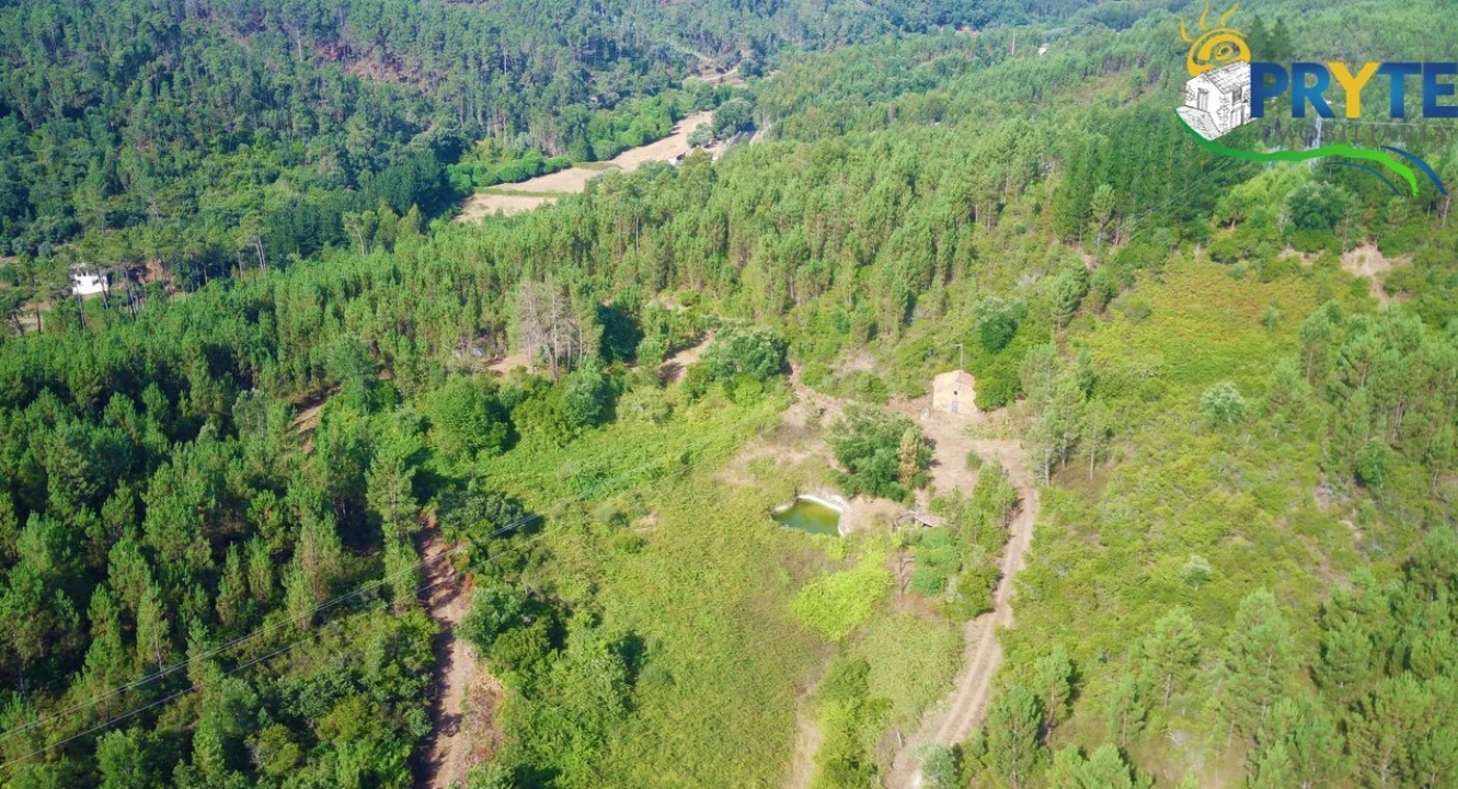 Quinta para Venda em Sertã Foto 43