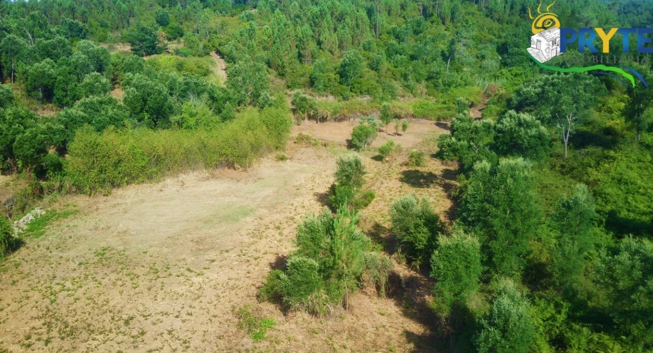 Quinta para Venda em Sertã Foto 45