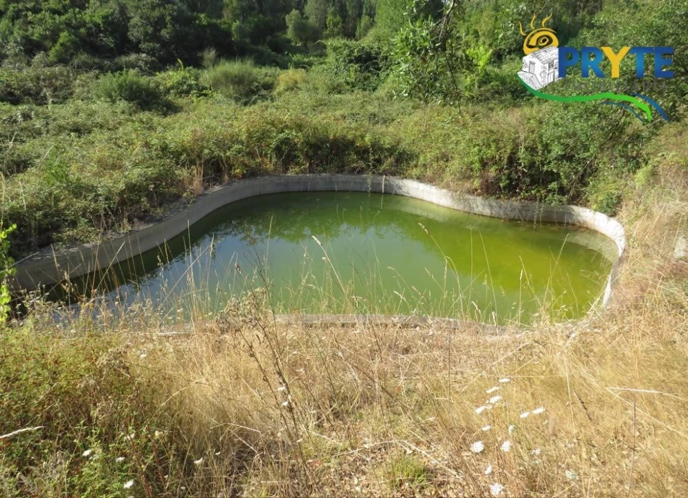 Quinta para Venda em Sertã Foto 48