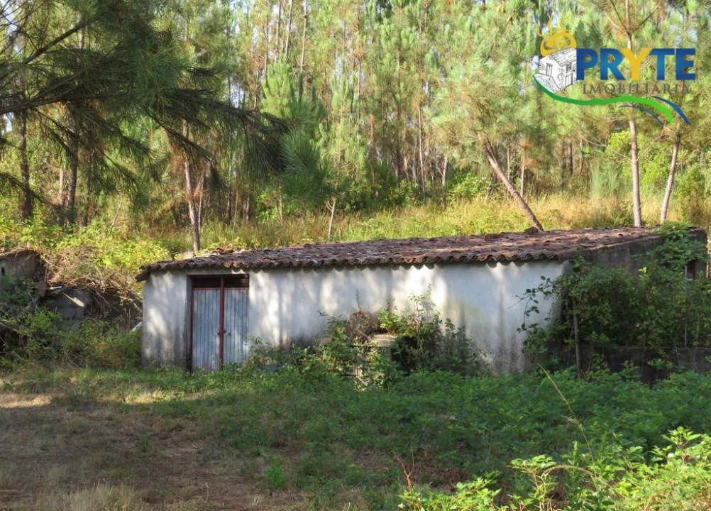 Quinta para Venda em Sertã Foto 49