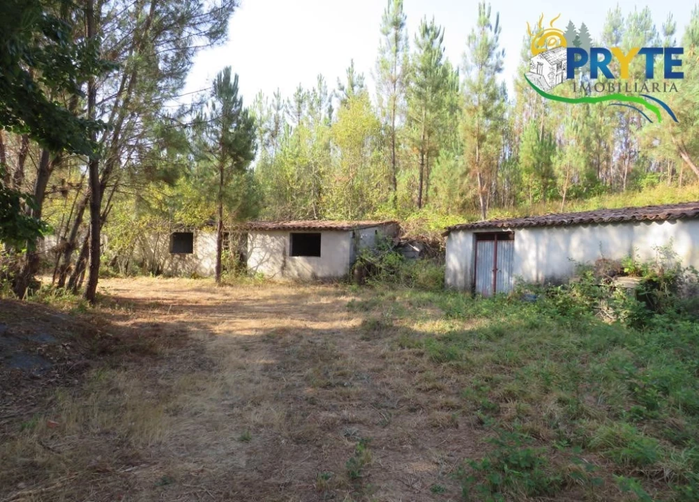 Quinta para Venda em Sertã Foto 50