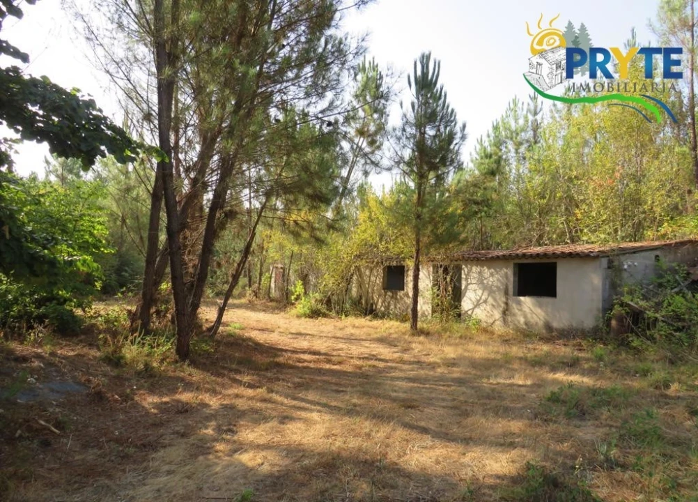 Quinta para Venda em Sertã Foto 51