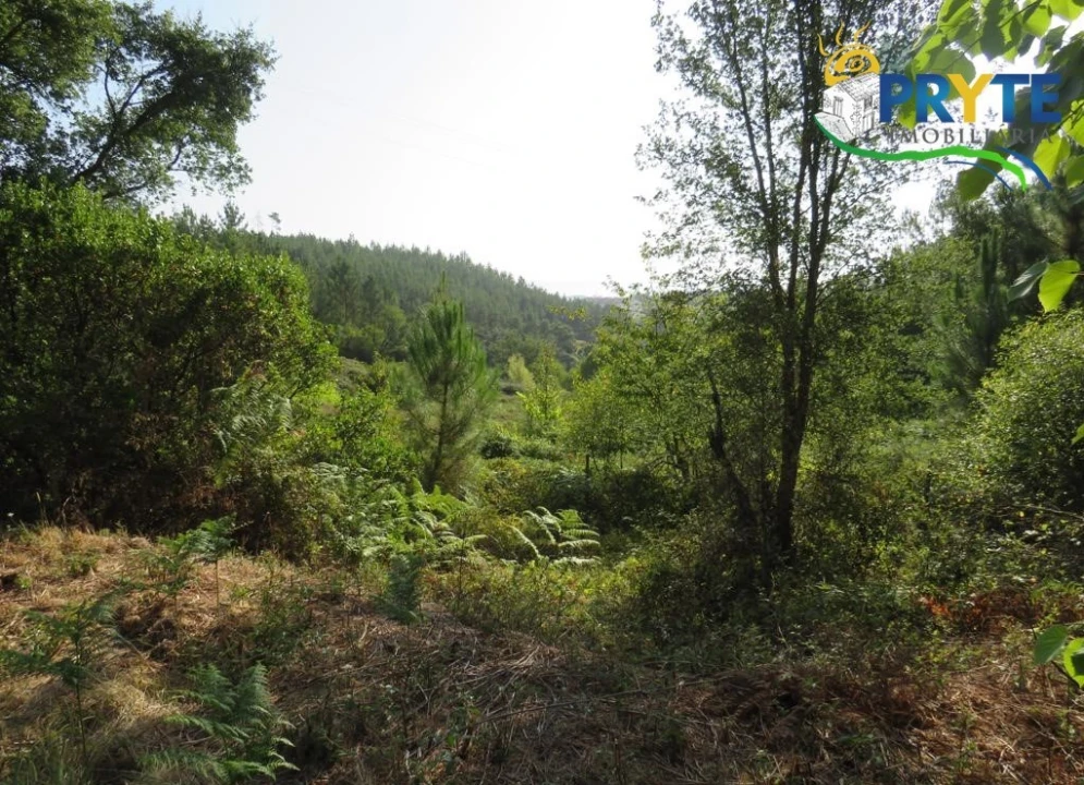 Quinta para Venda em Sertã Foto 53