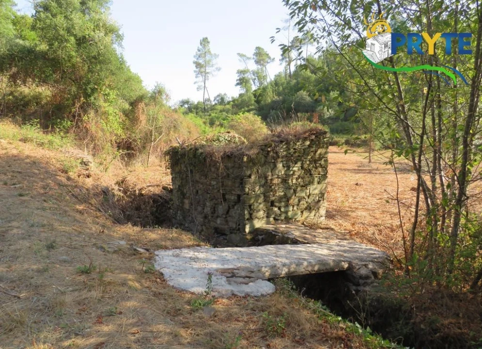 Quinta para Venda em Sertã Foto 54