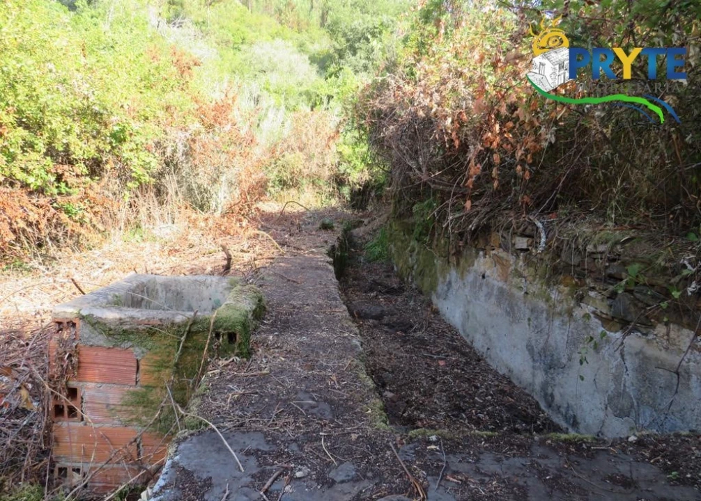 Quinta para Venda em Sertã Foto 57