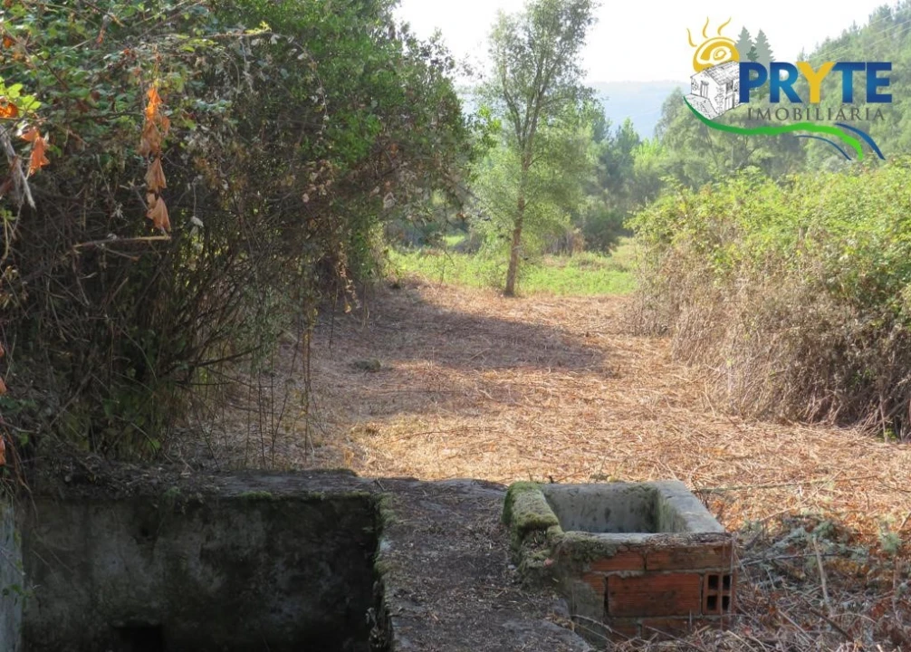 Quinta para Venda em Sertã Foto 60