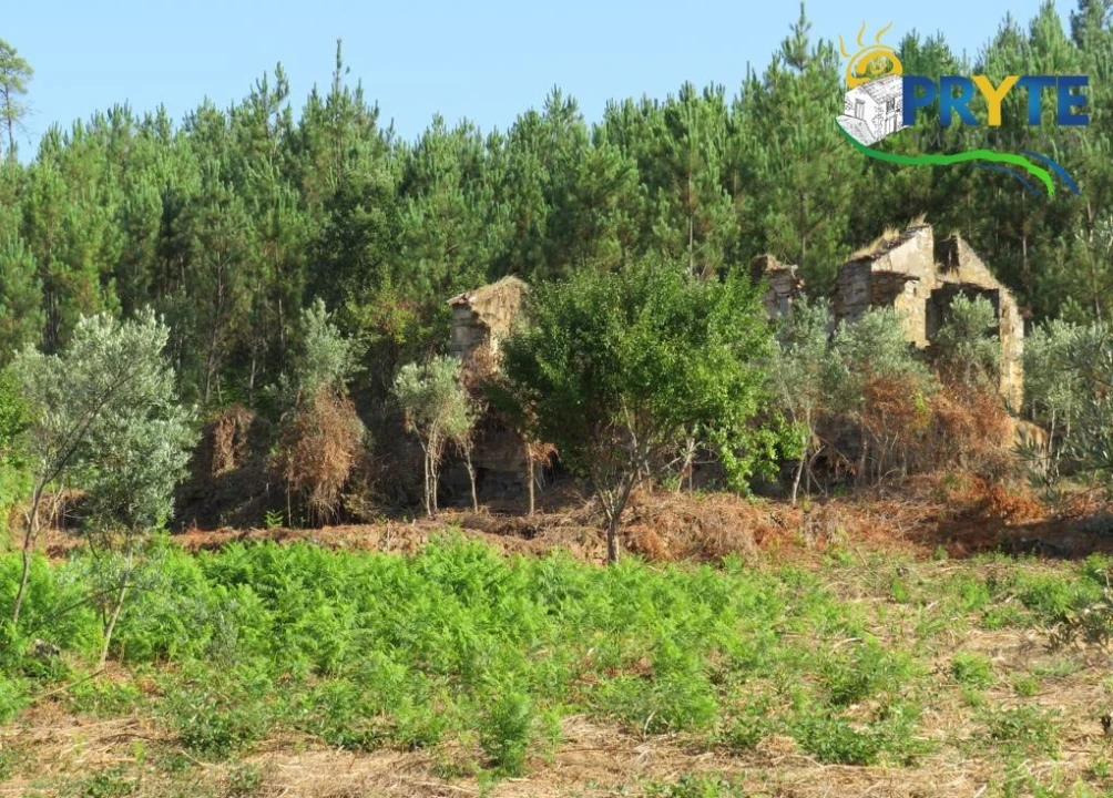 Quinta para Venda em Sertã Foto 65