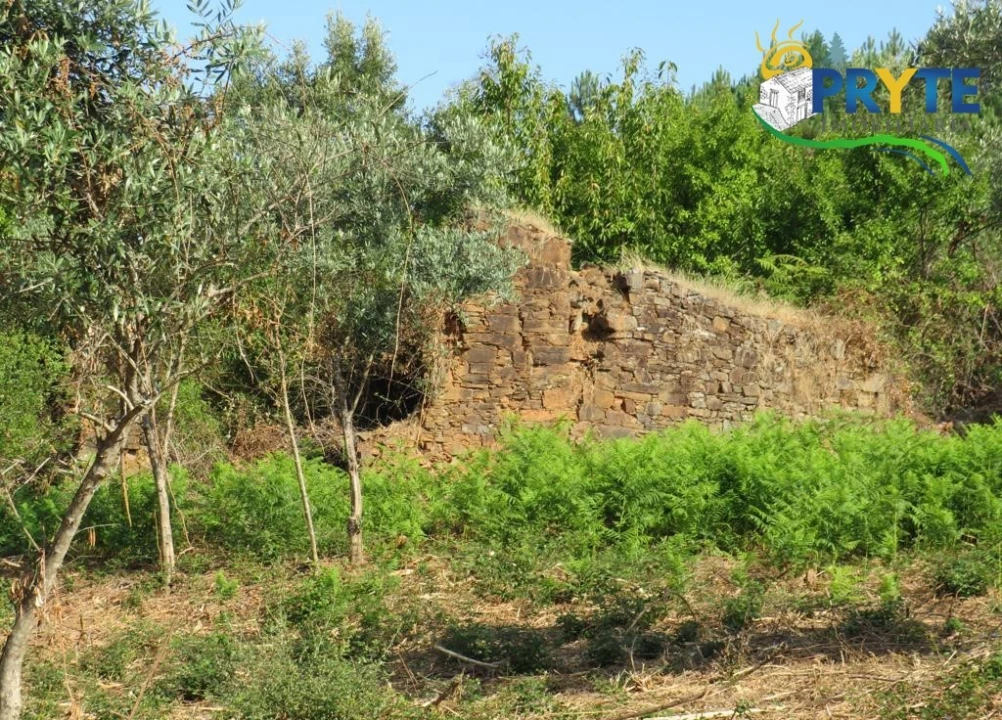 Quinta para Venda em Sertã Foto 66