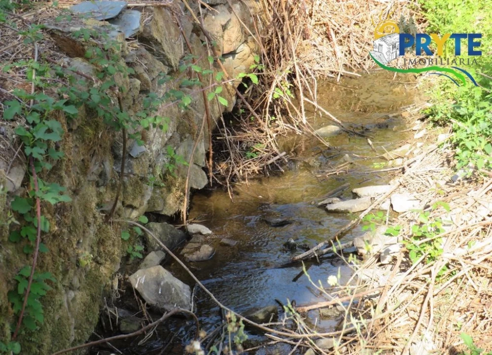 Quinta para Venda em Sertã Foto 67