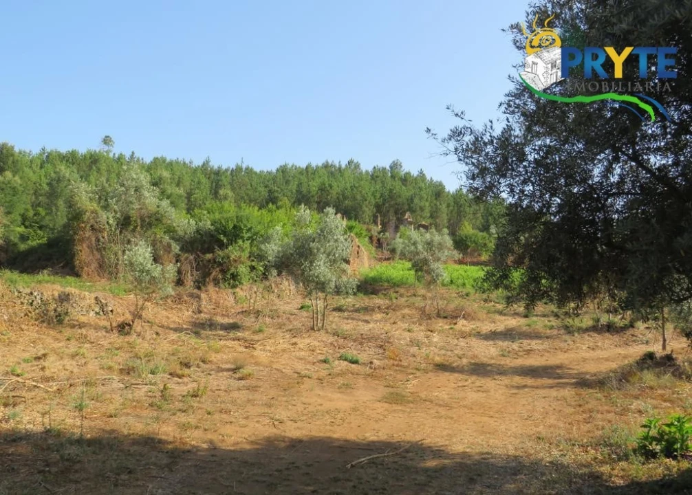 Quinta para Venda em Sertã Foto 71